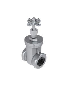 Leemco Stainless Steel FPT Gate Valves